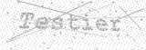 Security Picture (click to change)