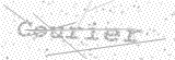 Security Picture (click to change)