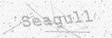 Security Picture (click to change)