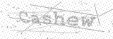 Security Picture (click to change)