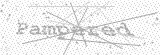 Security Picture (click to change)