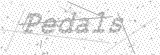 Security Picture (click to change)