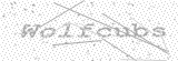 Security Picture (click to change)