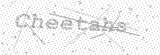 Security Picture (click to change)