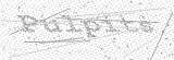 Security Picture (click to change)