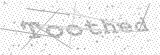 Security Picture (click to change)