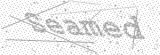 Security Picture (click to change)