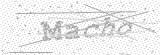 Security Picture (click to change)