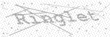 Security Picture (click to change)