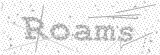 Security Picture (click to change)