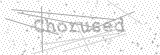 Security Picture (click to change)