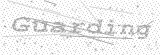 Security Picture (click to change)
