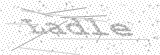 Security Picture (click to change)