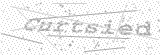 Security Picture (click to change)