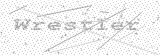 Security Picture (click to change)
