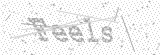 Security Picture (click to change)