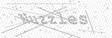 Security Picture (click to change)