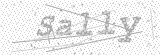 Security Picture (click to change)