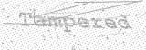 Security Picture (click to change)
