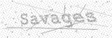 Security Picture (click to change)