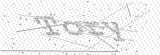 Security Picture (click to change)