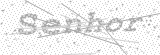 Security Picture (click to change)