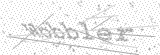Security Picture (click to change)