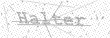Security Picture (click to change)