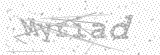 Security Picture (click to change)