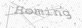 Security Picture (click to change)