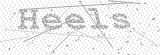 Security Picture (click to change)