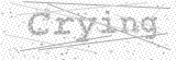 Security Picture (click to change)