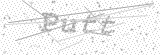 Security Picture (click to change)