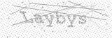 Security Picture (click to change)
