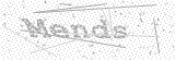 Security Picture (click to change)