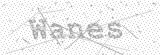 Security Picture (click to change)