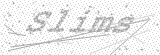 Security Picture (click to change)