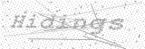 Security Picture (click to change)