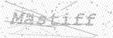 Security Picture (click to change)
