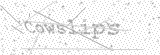 Security Picture (click to change)