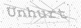 Security Picture (click to change)