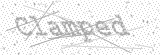 Security Picture (click to change)