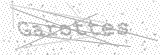 Security Picture (click to change)