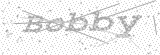 Security Picture (click to change)