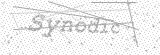 Security Picture (click to change)