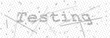 Security Picture (click to change)