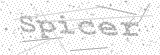 Security Picture (click to change)