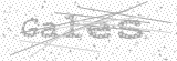 Security Picture (click to change)