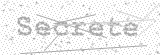 Security Picture (click to change)