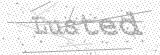 Security Picture (click to change)